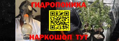 скорость Кингисепп