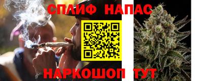 скорость Кингисепп