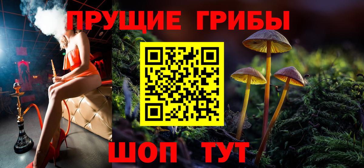 цены   Вход с VPN  Конаково  Псилоцибиновые грибы мицелий 